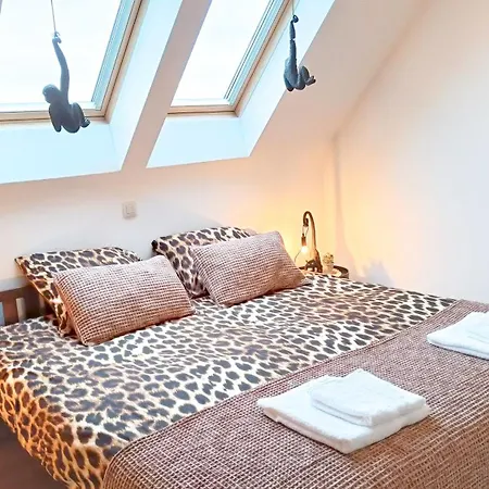 Protea Penthouse Apartment Ostend