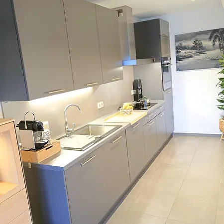 דירה Protea Penthouse אוסטנדה